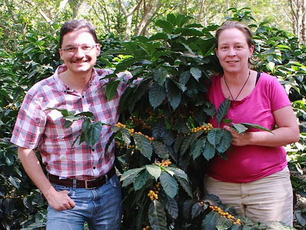 サンタ・フェリサコーヒー生豆