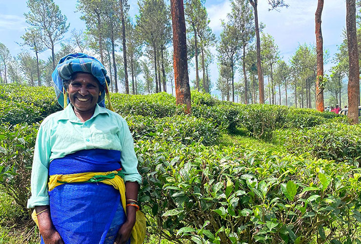 心温まる、歓迎とおもてなし