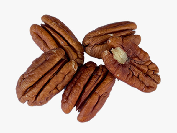 業務用有機ピーカンナッツ