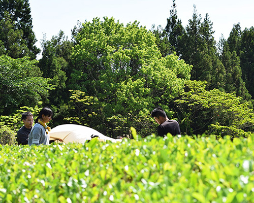 こだわり食品_商品紹介バナーグループ協働開発品