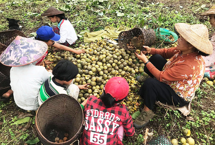 お知らせ　ミャンマー応援カンパ