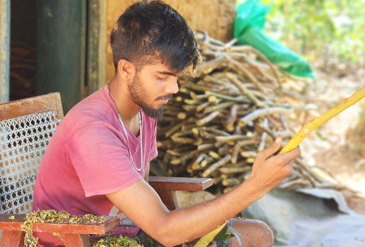 お知らせ　メディア掲載 JICA 20250331